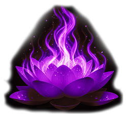 Flor de Lotus
